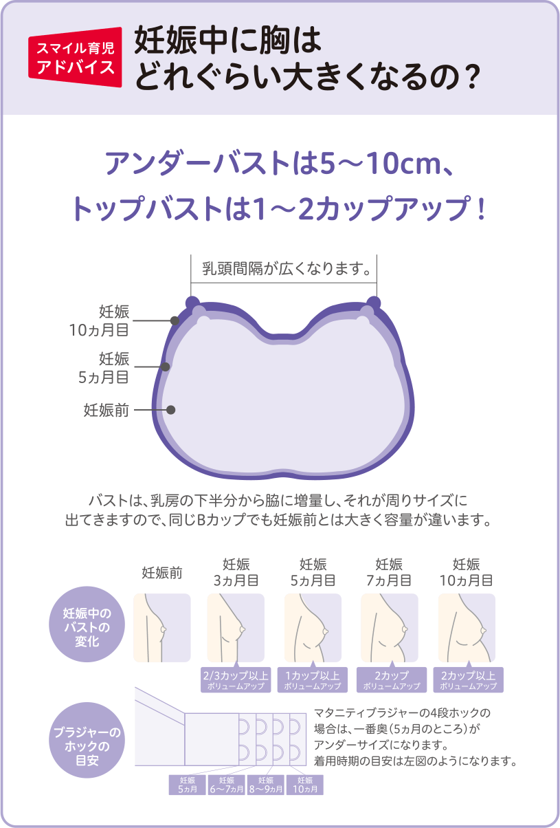妊娠中の胸はどれくらい大きくなるの？