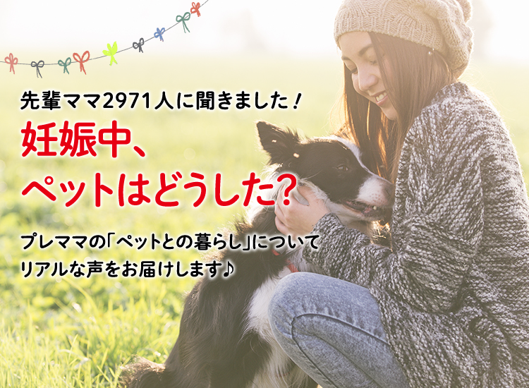 アカチャンホンポが妊娠中のペット事情について2,971人のリアルな声をお届け!どんなペットを飼っていたかなど気になる内容が盛りだくさん!